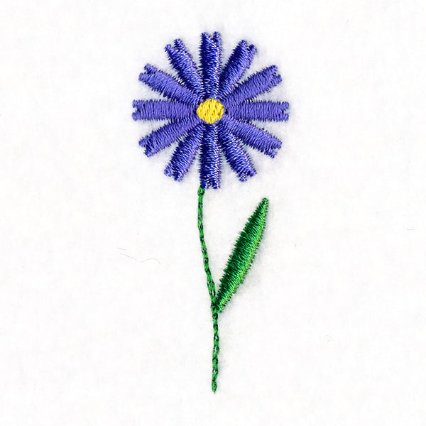 Wildflower Garden - Daisy