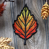 Ombre Delights Birch Leaf (Lace)