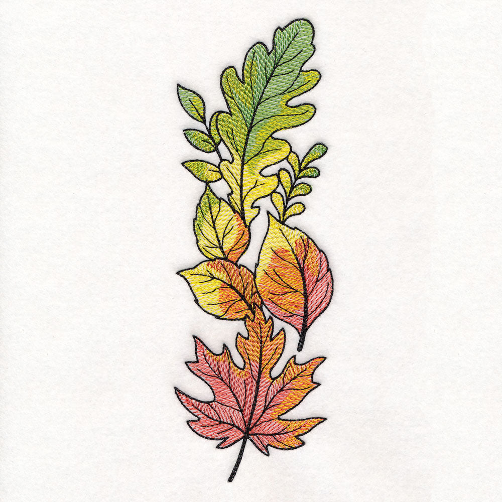 Color Theory Harvest Leaves Border