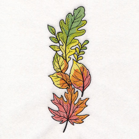 Color Theory Harvest Leaves Border