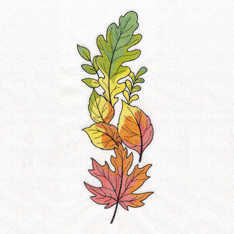 Color Theory Harvest Leaves Border