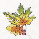 Color Theory Harvest Leaves Accent