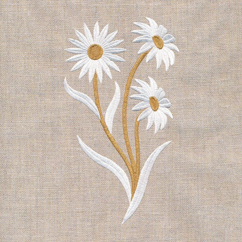 Golden Harvest Daisy