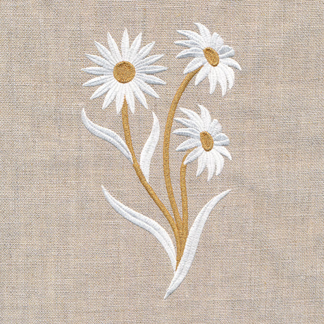 Golden Harvest Daisy