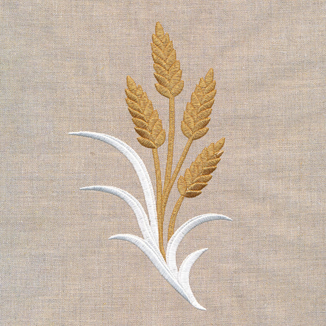 Golden Harvest Wheat 2