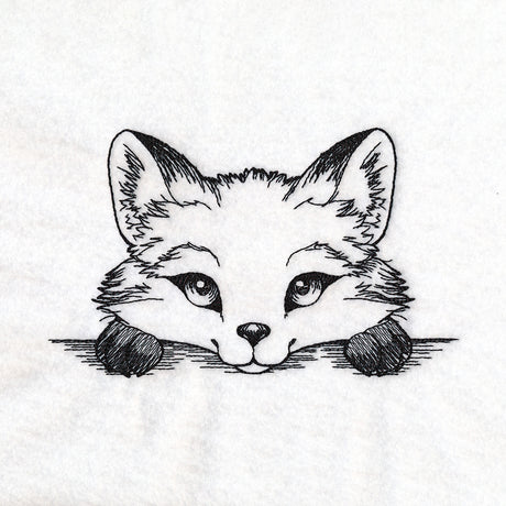 Peeking Fox Sketch