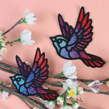 Colorful Bird in Flight 2 (Lace)