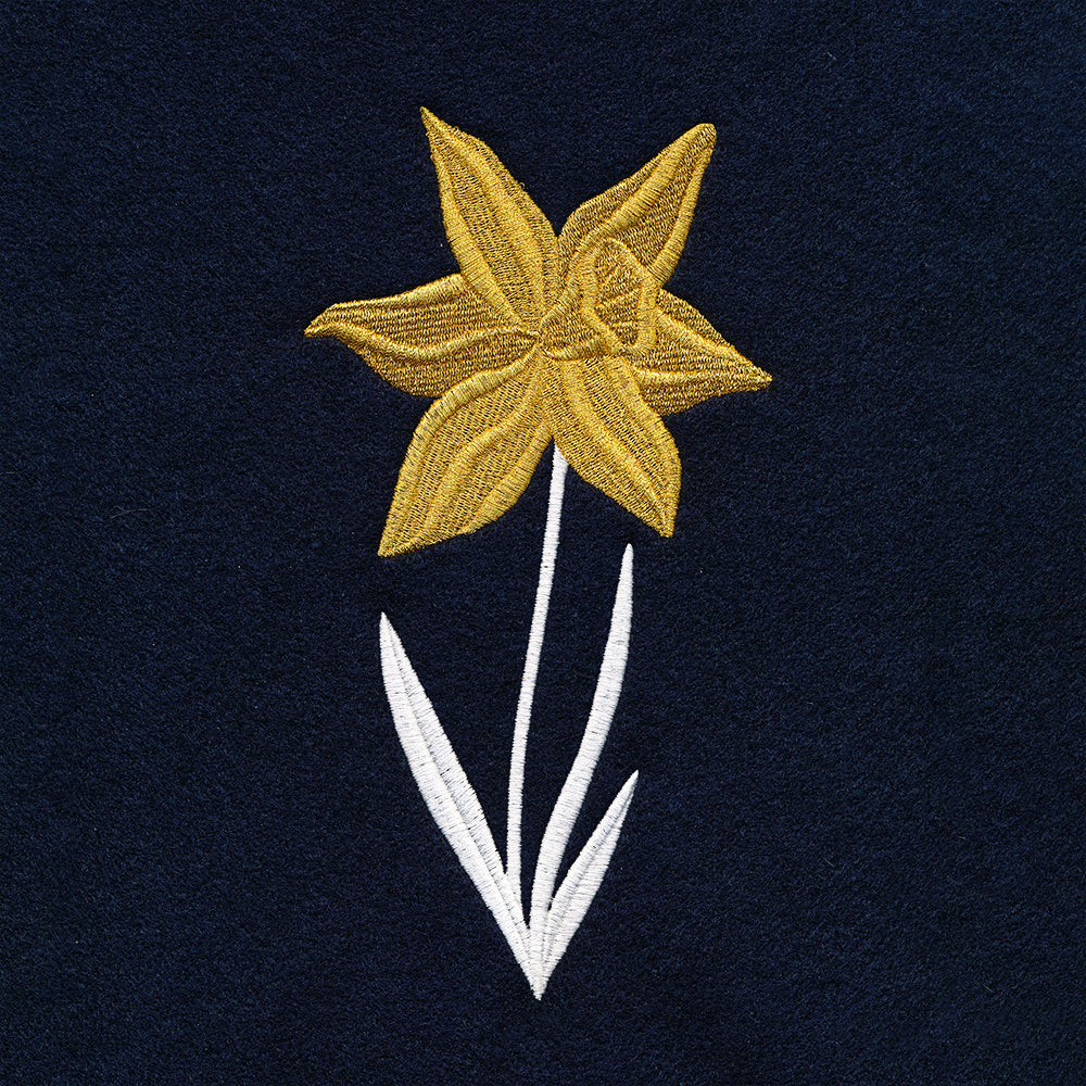 Hello Spring - Daffodil