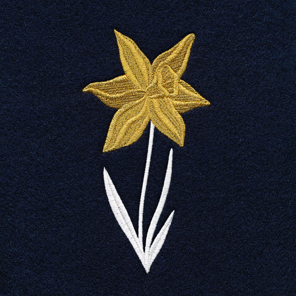 Hello Spring - Daffodil