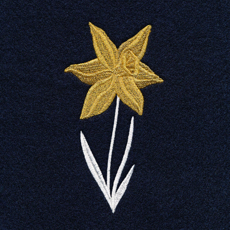 Hello Spring - Daffodil