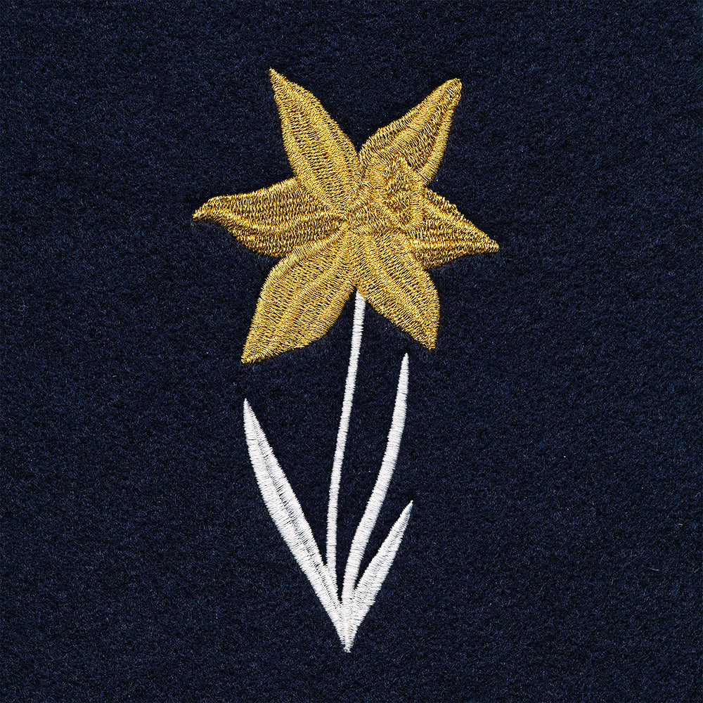 Hello Spring - Daffodil