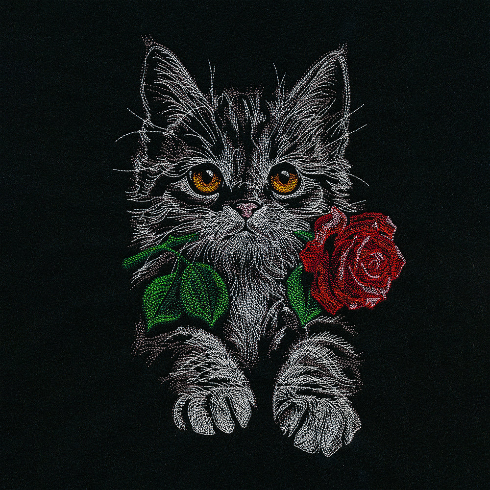Majestic Rose Kitten