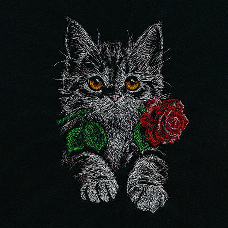Majestic Rose Kitten