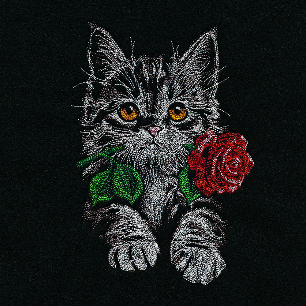 Majestic Rose Kitten