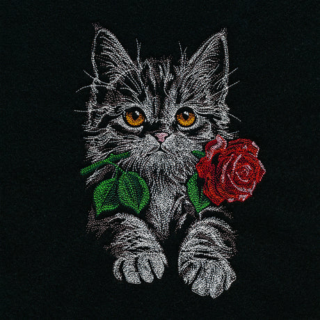Majestic Rose Kitten