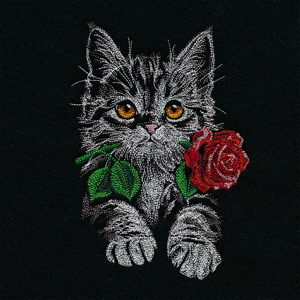 Majestic Rose Kitten