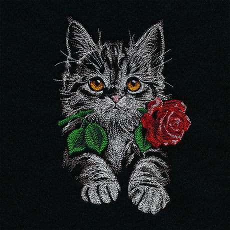 Majestic Rose Kitten