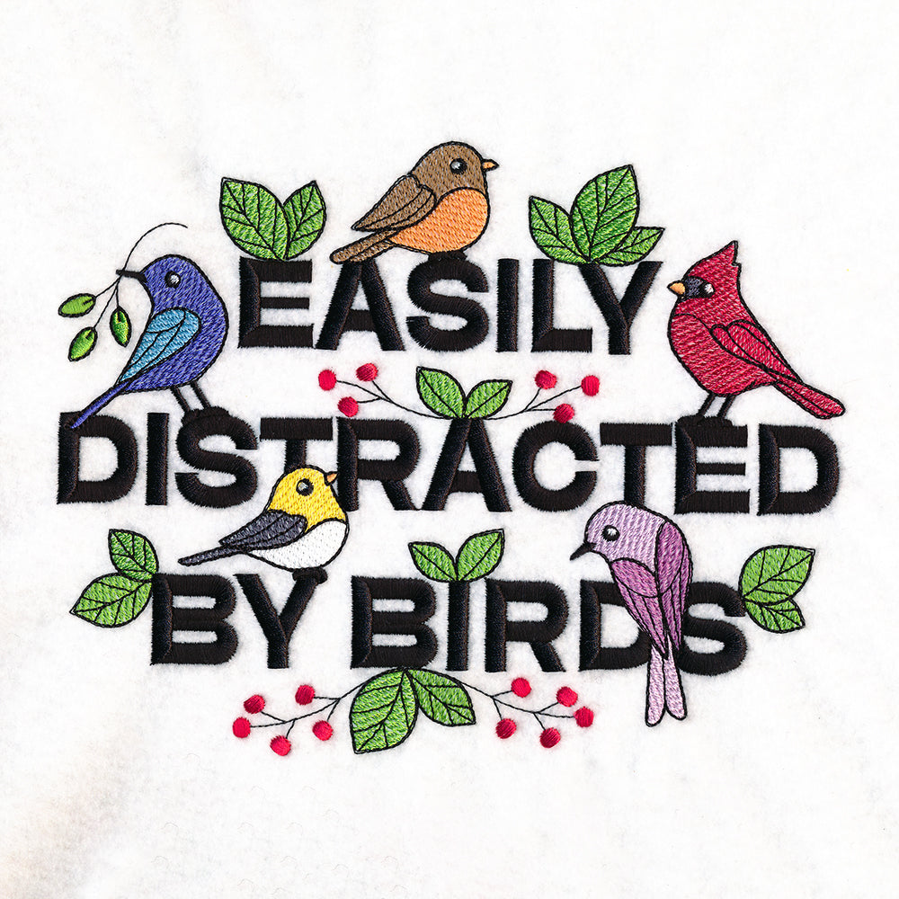 Distracted by Birds