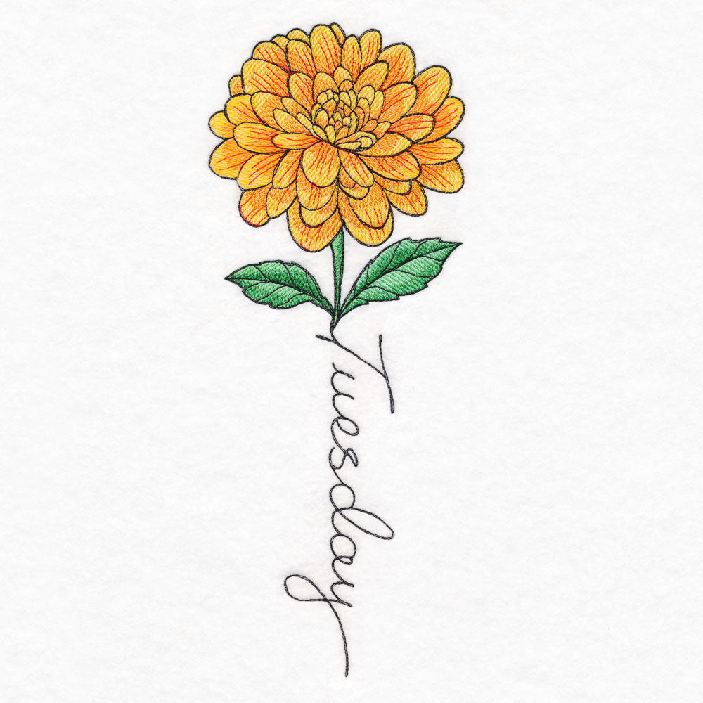 Tuesday Bloom Dahlia