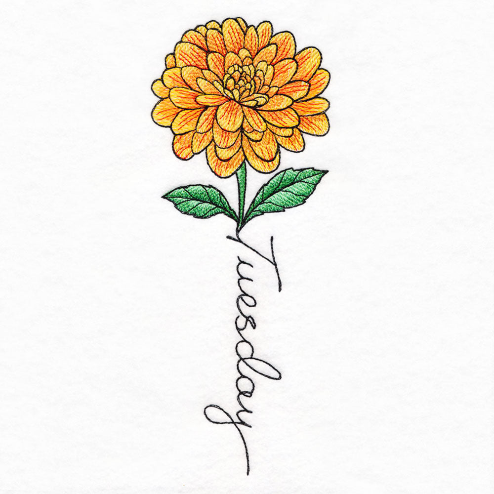 Tuesday Bloom Dahlia