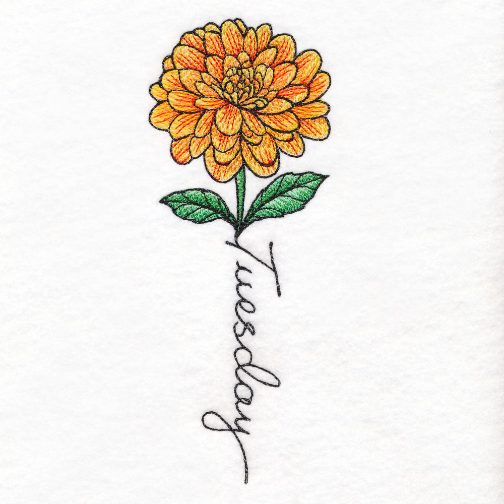 Tuesday Bloom Dahlia