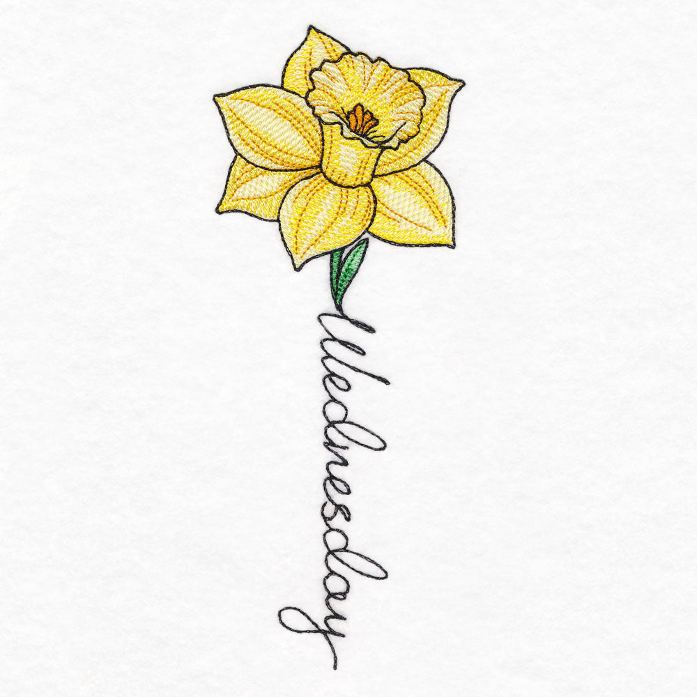 Wednesday Bloom Daffodil