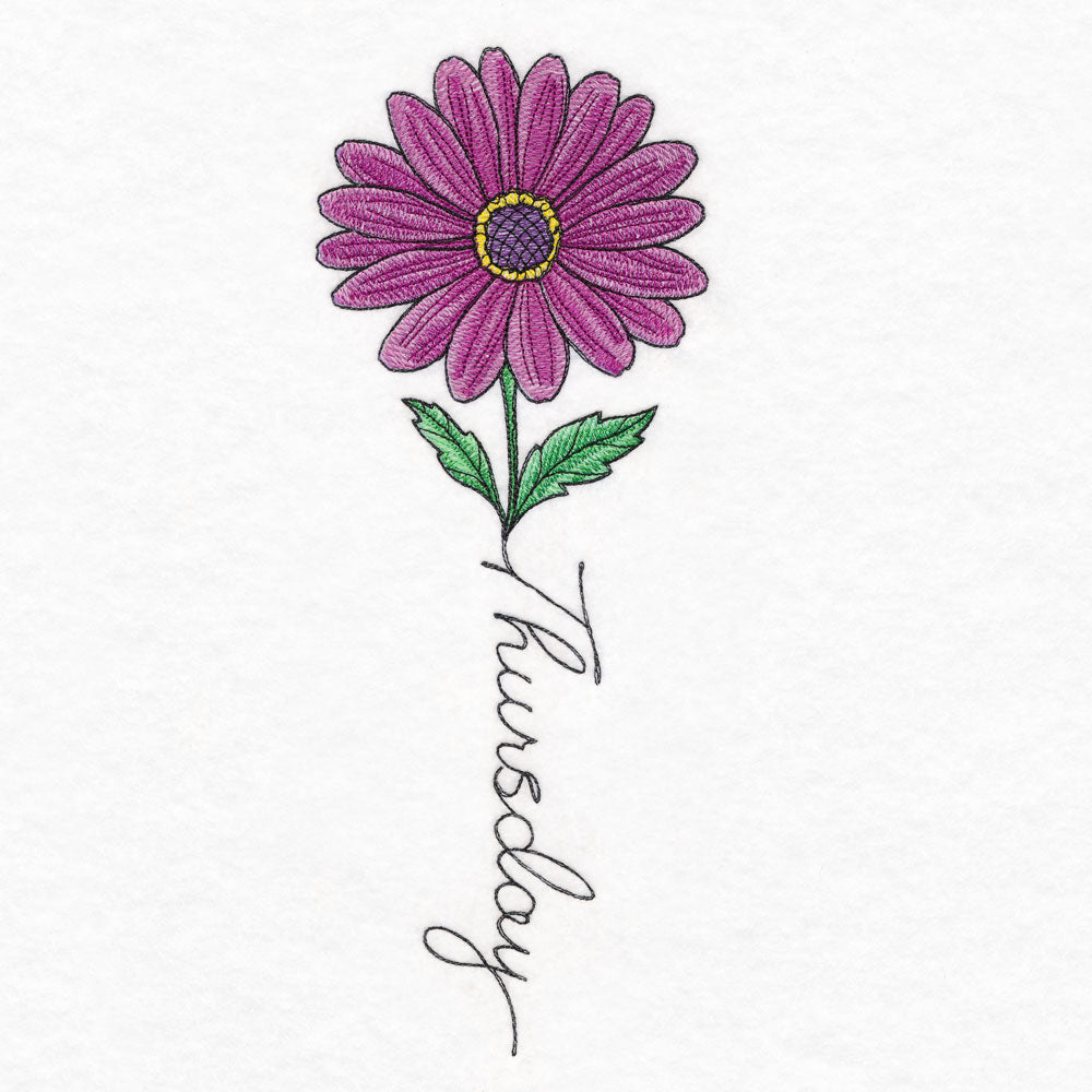 Thursday Bloom Gerbera Daisy