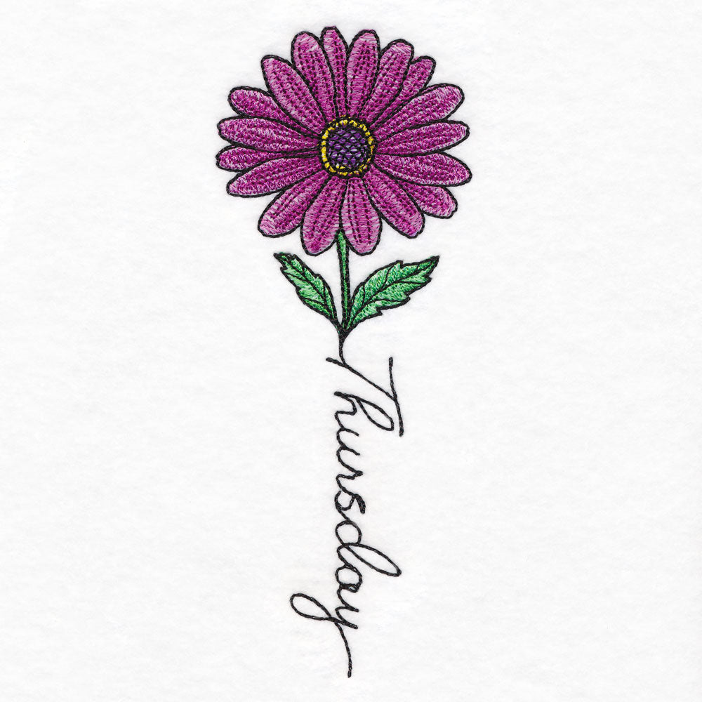 Thursday Bloom Gerbera Daisy