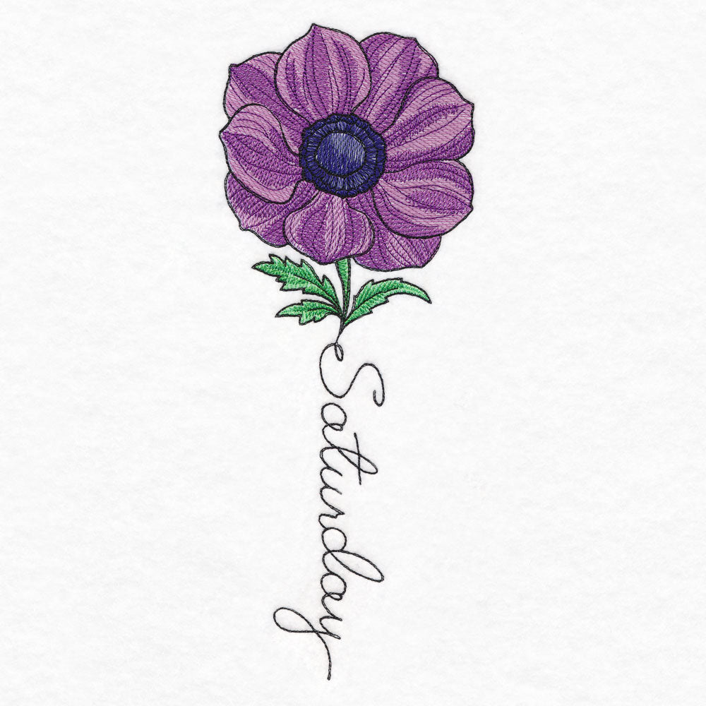 Saturday Bloom Anemone