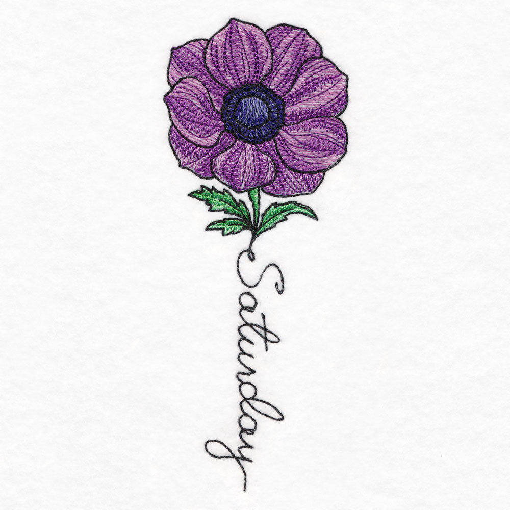 Saturday Bloom Anemone