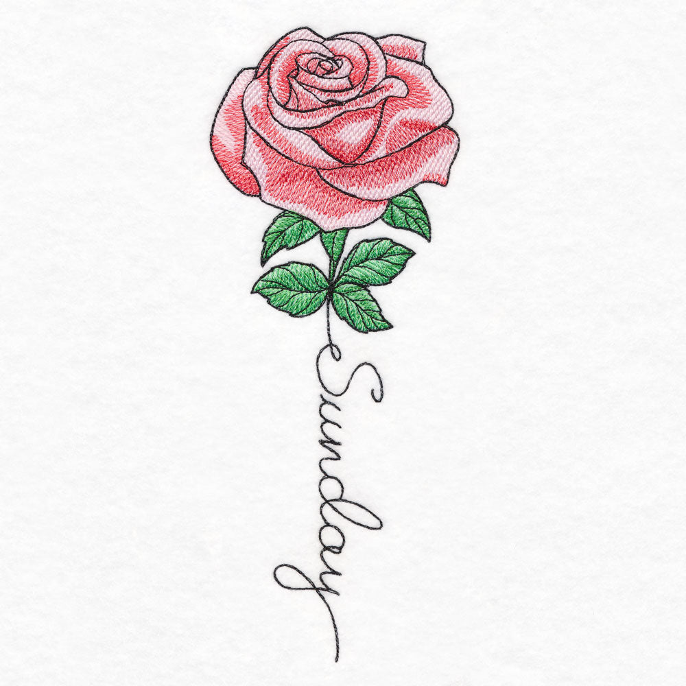 Sunday Bloom Rose