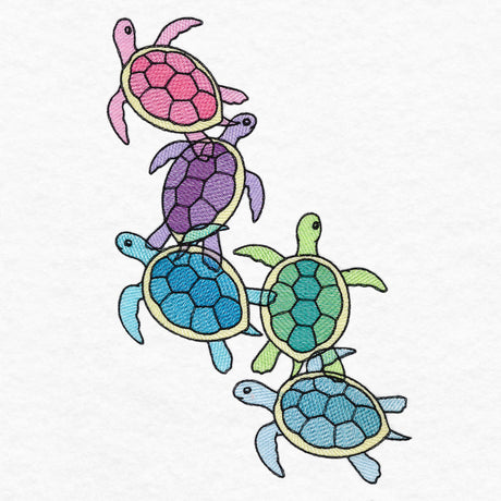 Tropical Sea Turtles