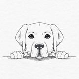 Peeking Labrador Retriever Sketch