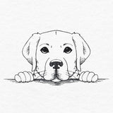 Peeking Labrador Retriever Sketch