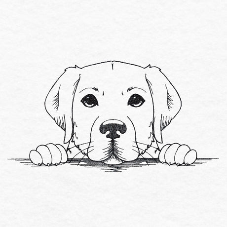 Peeking Labrador Retriever Sketch