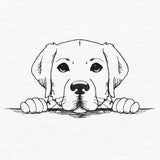 Peeking Labrador Retriever Sketch