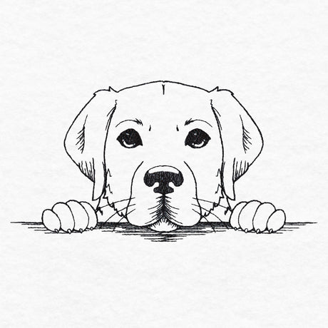 Peeking Labrador Retriever Sketch