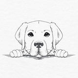 Peeking Labrador Retriever Sketch