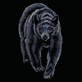 Majestic Walking Black Bear