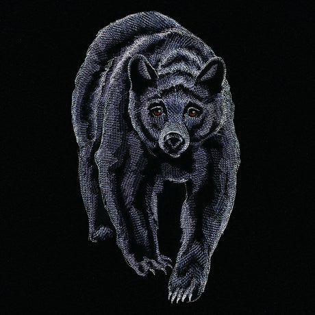 Majestic Walking Black Bear