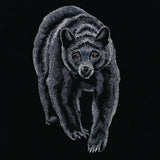 Majestic Walking Black Bear