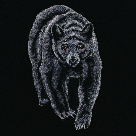Majestic Walking Black Bear