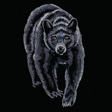 Majestic Walking Black Bear