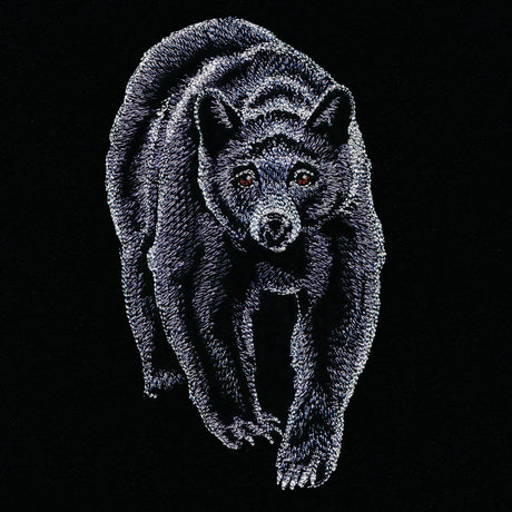 Majestic Walking Black Bear