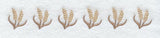 Wheat Border