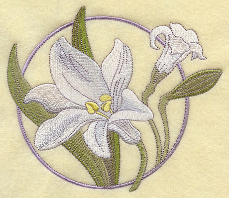 Easter Lilies in Bloom