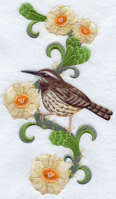 Arizona Cactus Wren and Saguaro Cactus Blossom Medley
