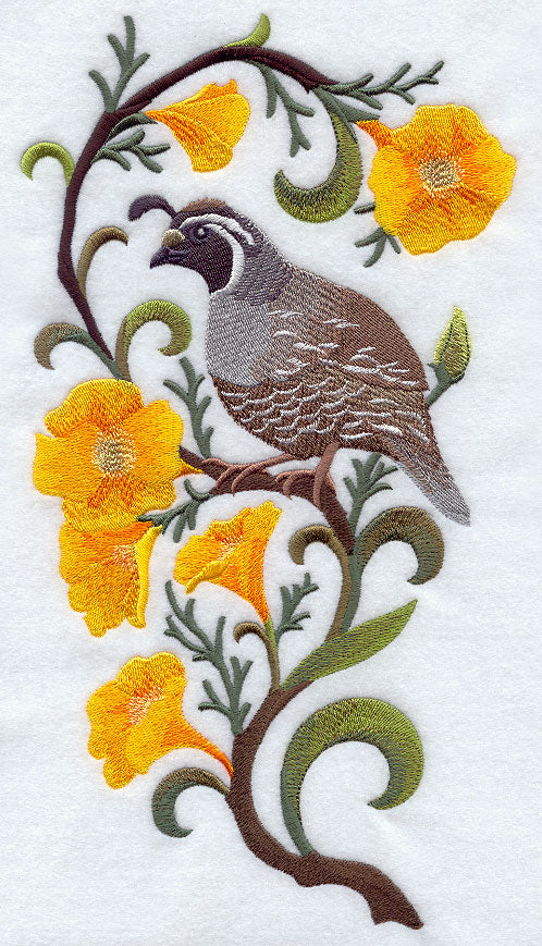 California Quail and California Poppy Medley