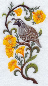 California Quail and California Poppy Medley