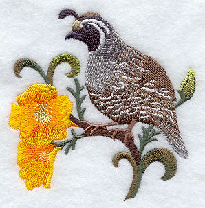California Quail and California Poppy Medley